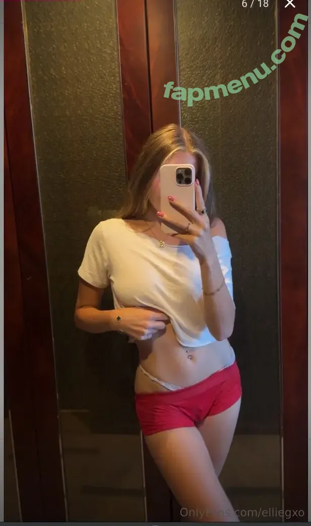 ellie.vandeel nude photo #0036 (elliegxo / ellievandeel)