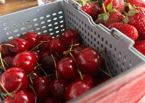 Ellie69bunny / Turbulent_Ad9733 / elliebunny132 nude photo #0997