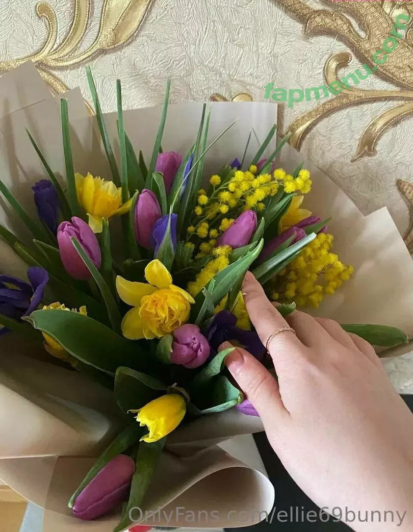 Ellie69bunny nude photo #0097 (Turbulent_Ad9733 / elliebunny132)