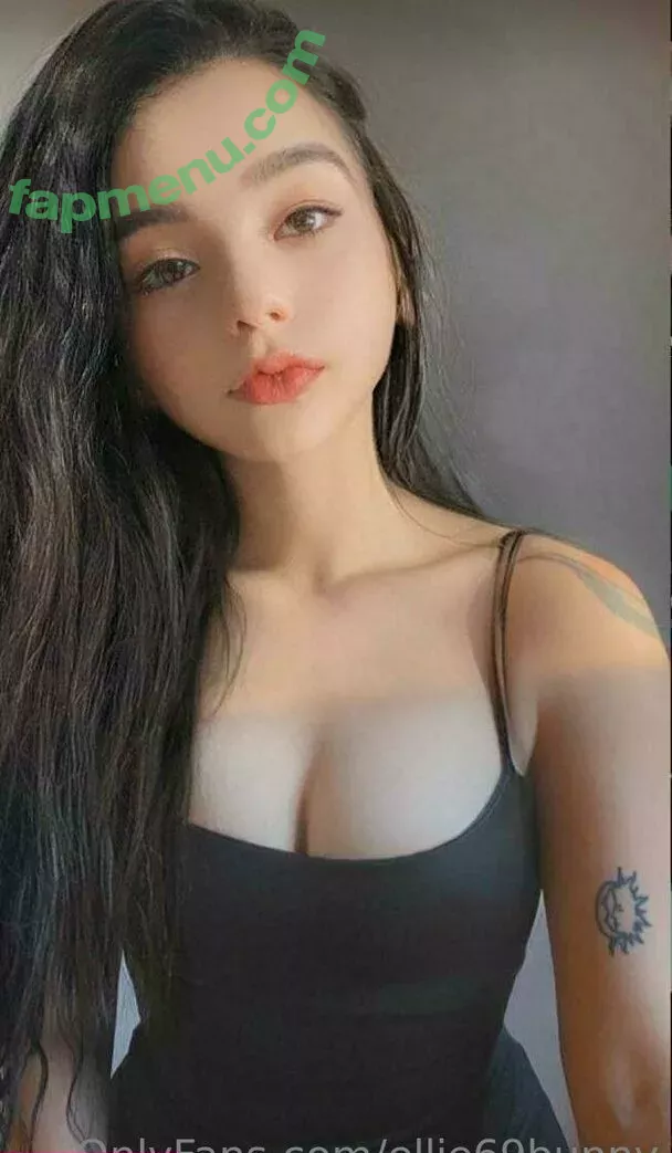 Ellie69bunny nude photo #0173 (Turbulent_Ad9733 / elliebunny132)