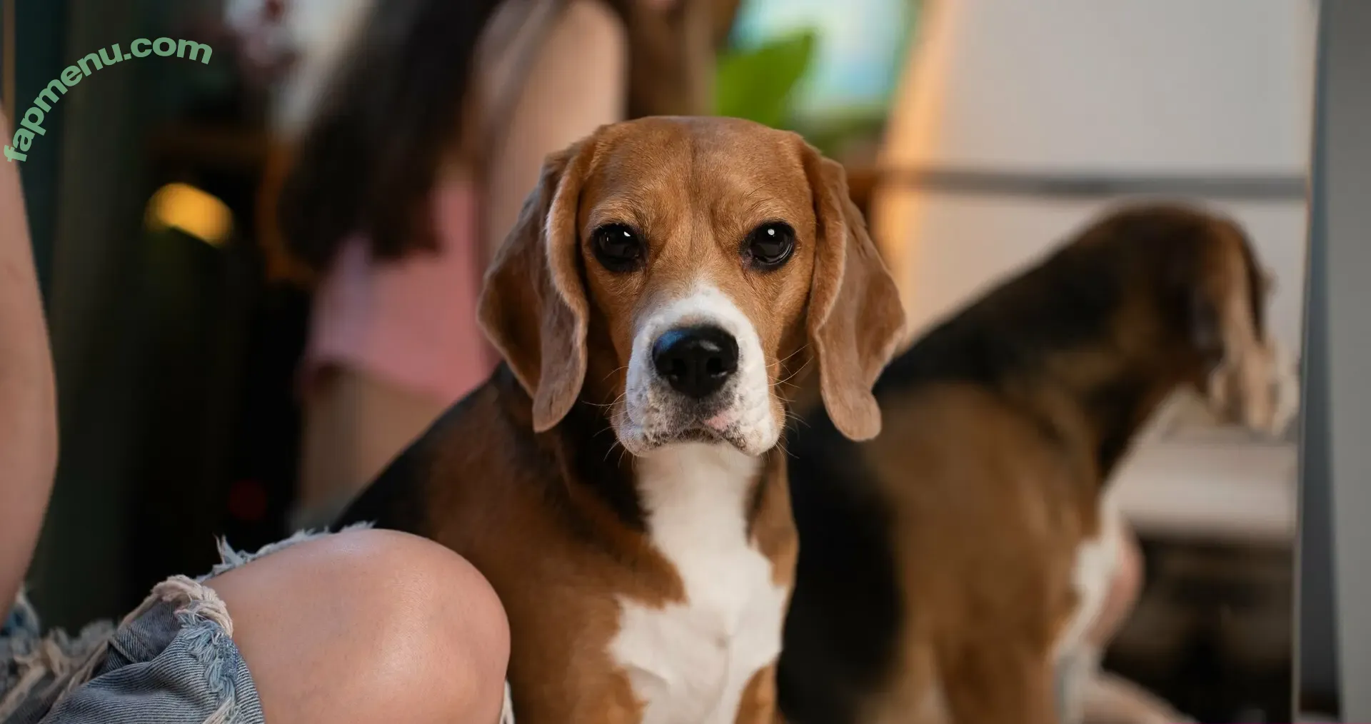 Ellie69bunny nude photo #1006 (Turbulent_Ad9733 / elliebunny132)