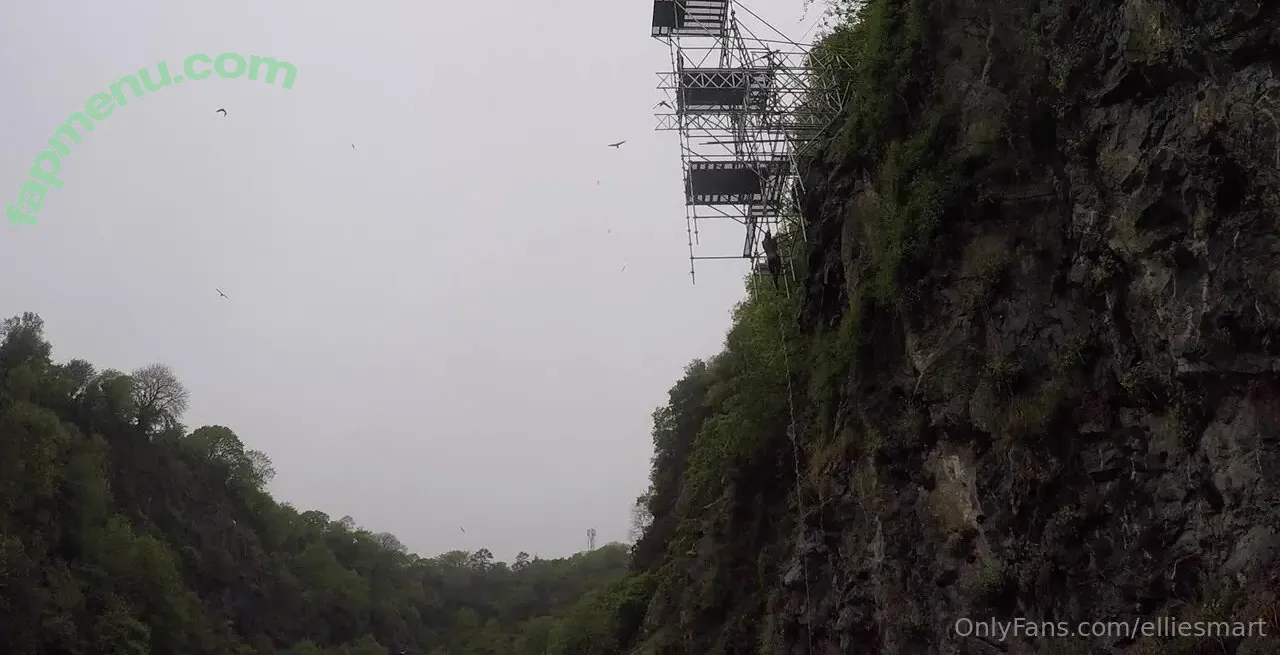 elliesmart nude photo #0030 (ellietsmart)