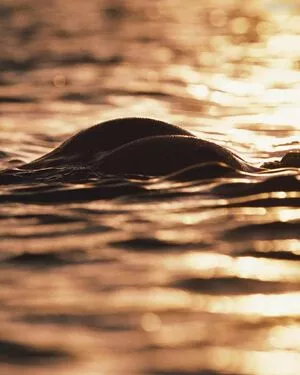 Elsa Hosk / elsahosk / hoskelsa nude photo #1810