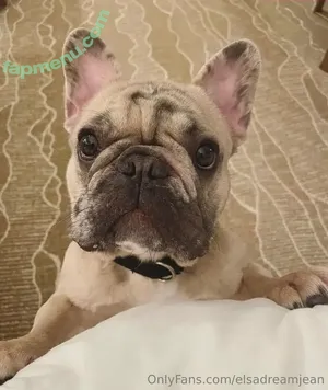 Elsa Jean / elsadreamjean / elsajeanofficial / elsajeanxxx nude photo #0945