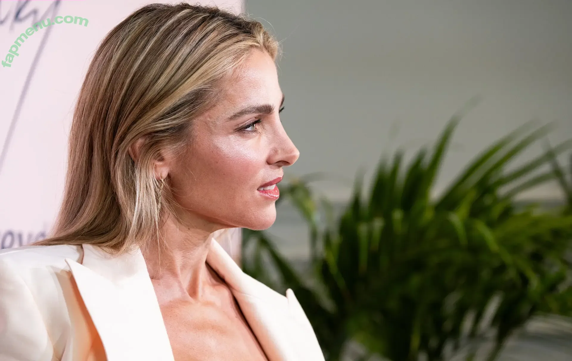 Elsa Pataky nude photo #1031 (elsapataky_ / elsapatakyconfidential)