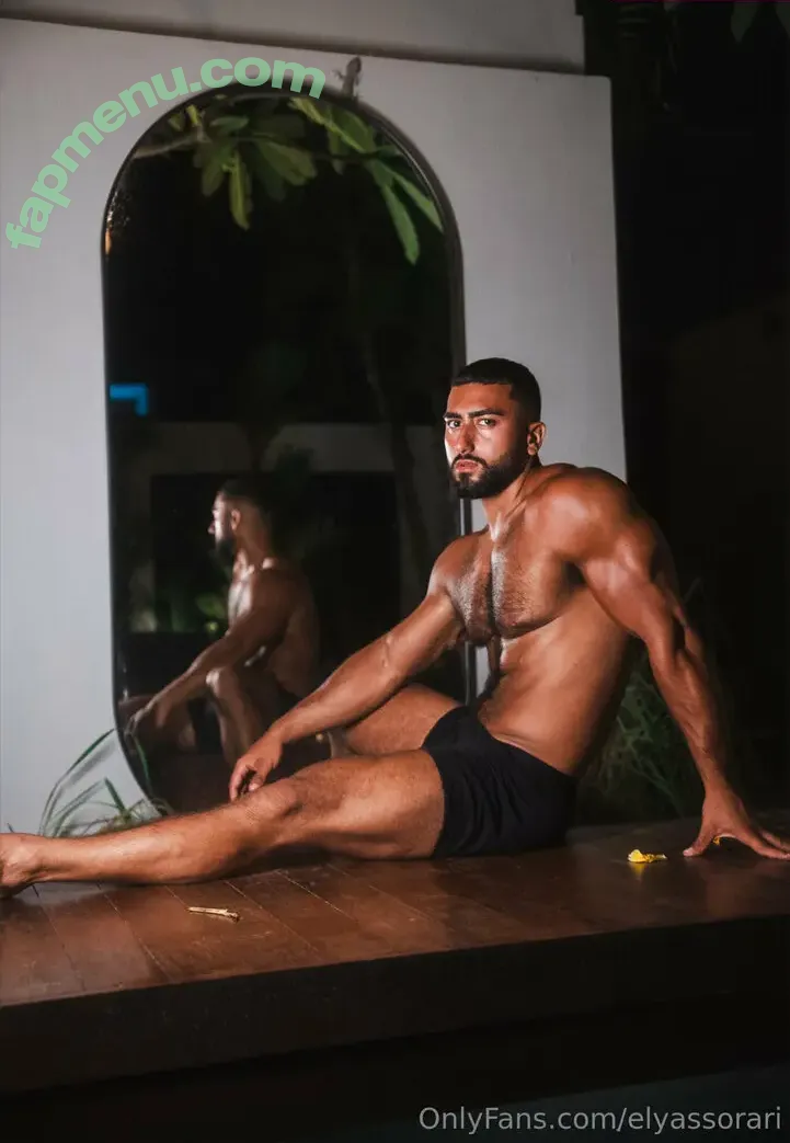 elyassorari nude photo #0008 (elyassorari)