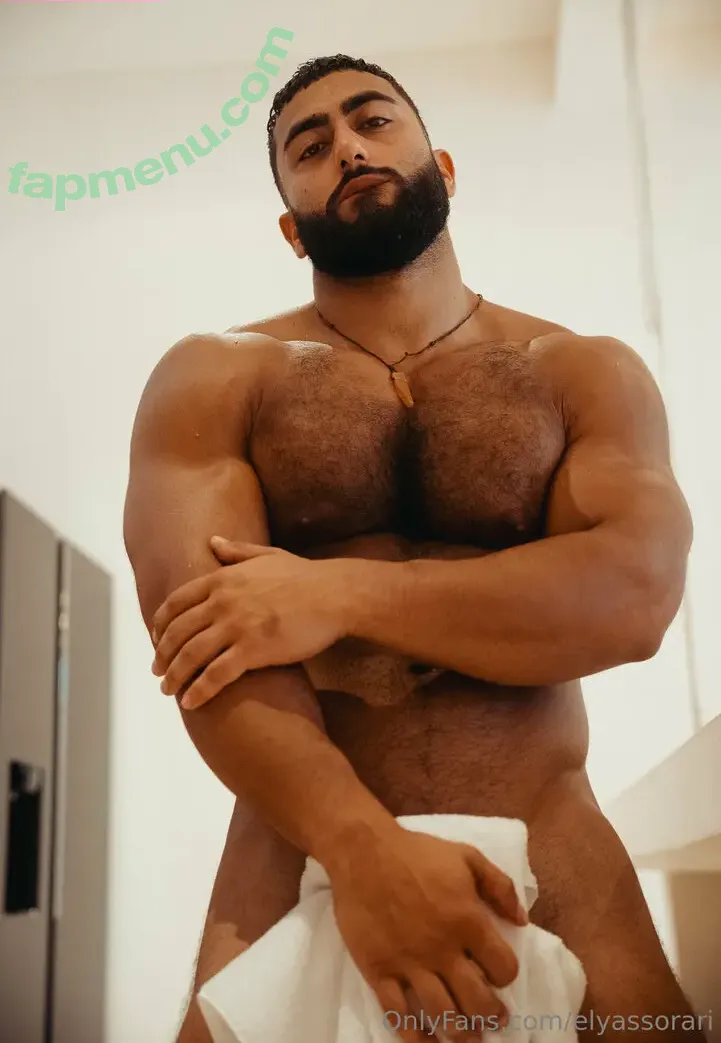elyassorari nude photo #0081 (elyassorari)