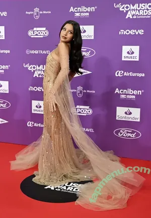 Emilia Mernes / emiliamernes nude photo #0288