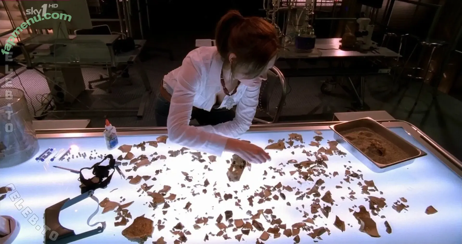 Emily Deschanel nude photo #0074 (emilydeschanel)