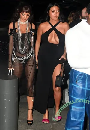 Emily Ratajkowski / emrata nude photo #8399