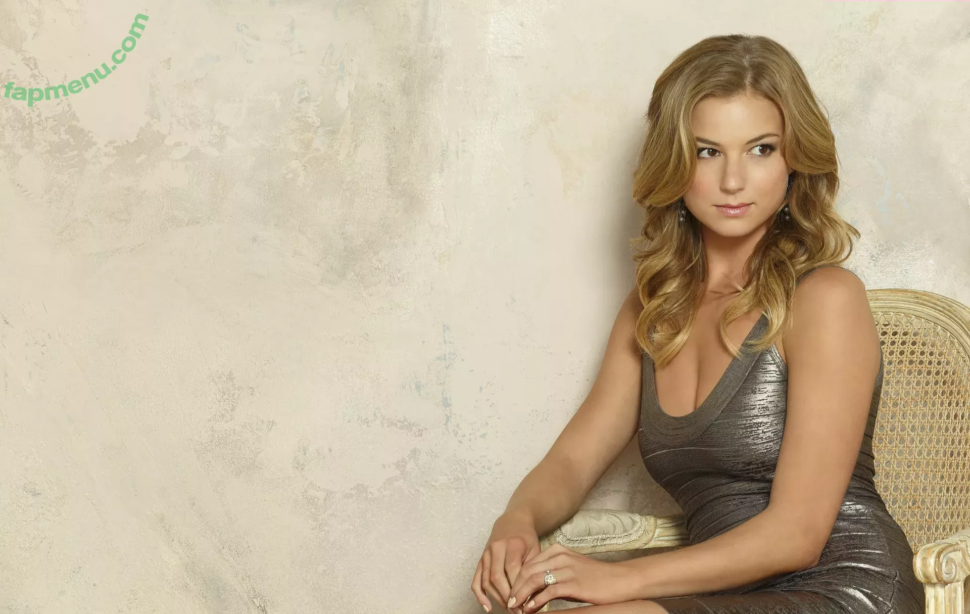 Emily VanCamp nude photo #0011 (emilyvancamp)