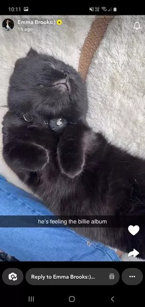 Emma Brooks / emma_brooks / emmabrooks / emmabrooksmcallister nude photo #1354