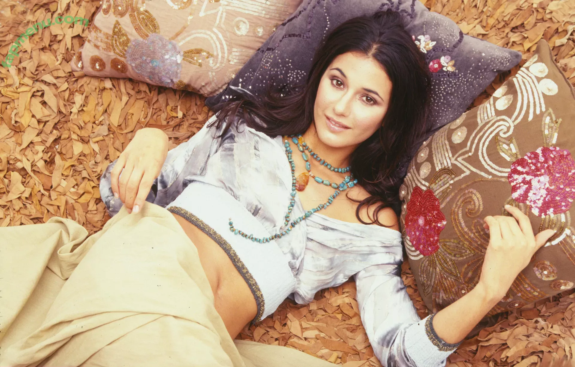 Emmanuelle Chriqui nude photo #0071 (Emmanuelle / echriqui)