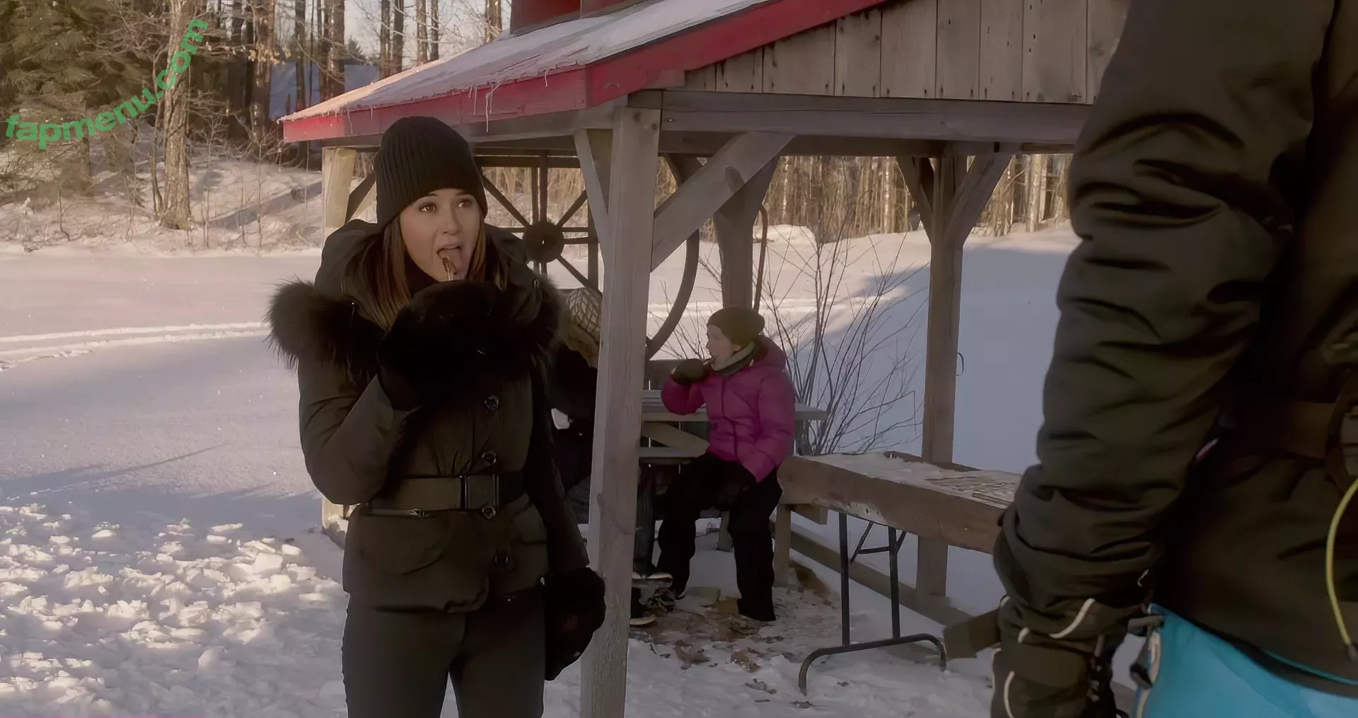 Emmanuelle Chriqui nude photo #0282 (Emmanuelle / echriqui)