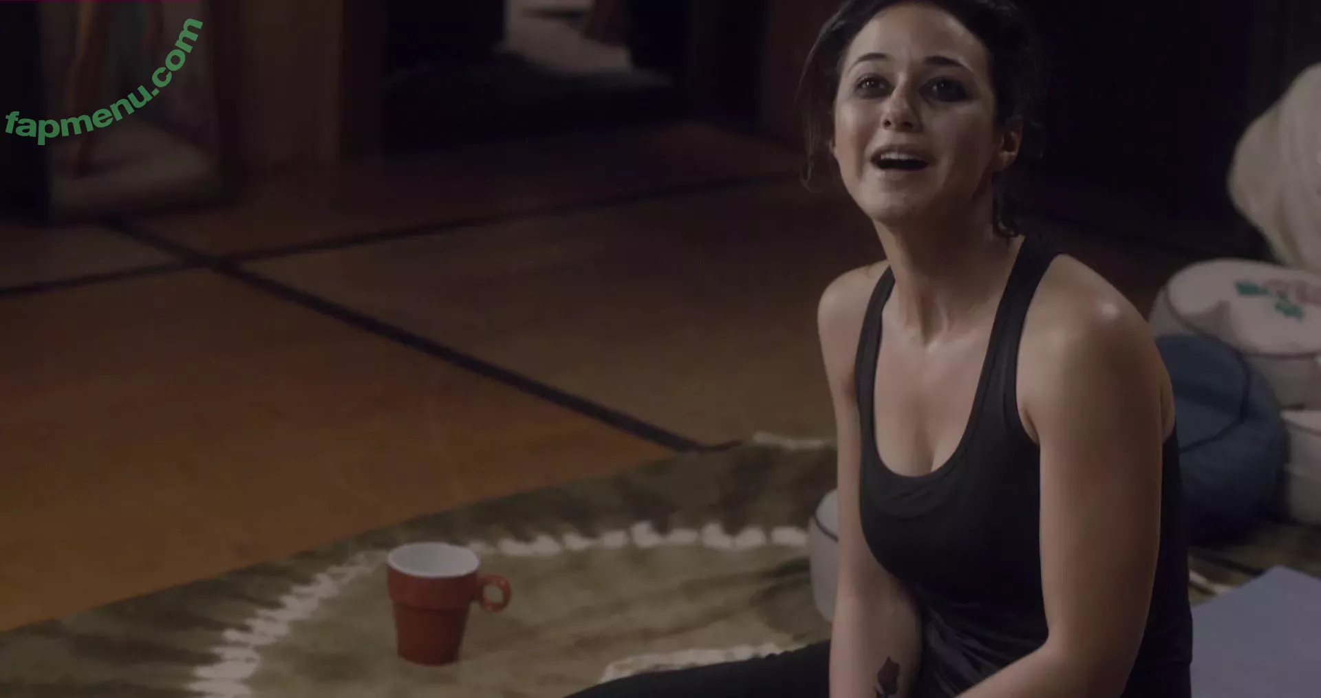 Emmanuelle Chriqui nude photo #0283 (Emmanuelle / echriqui)