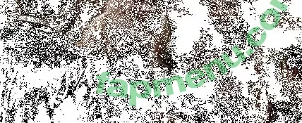 Emmanuelle Chriqui nude photo #0308 (Emmanuelle / echriqui)