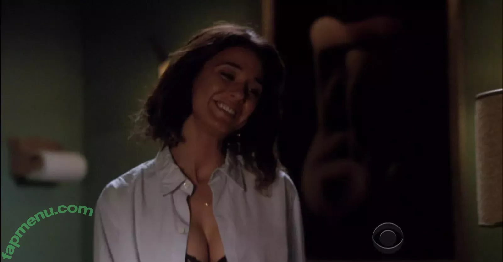 Emmanuelle Chriqui nude photo #0371 (Emmanuelle / echriqui)