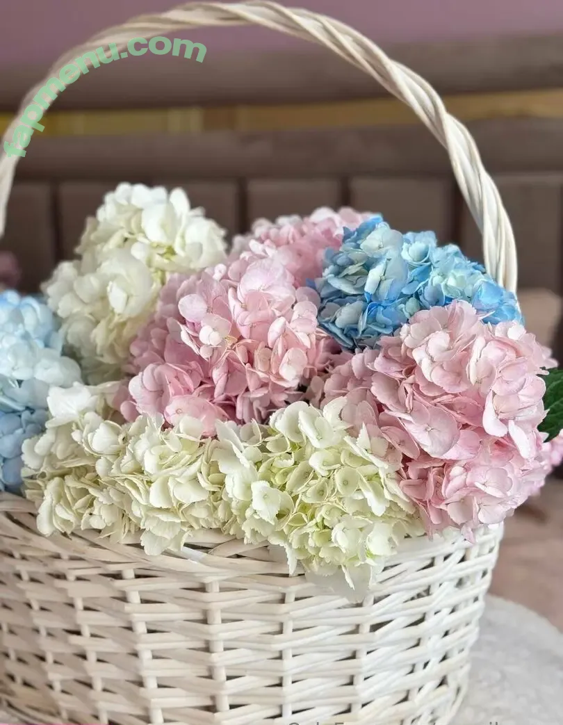 emmilee.xx nude photo #0249 (Emily)