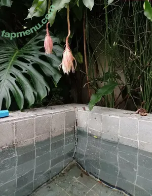 entrecuerdas / entrecuerdas.oficial nude photo #0001