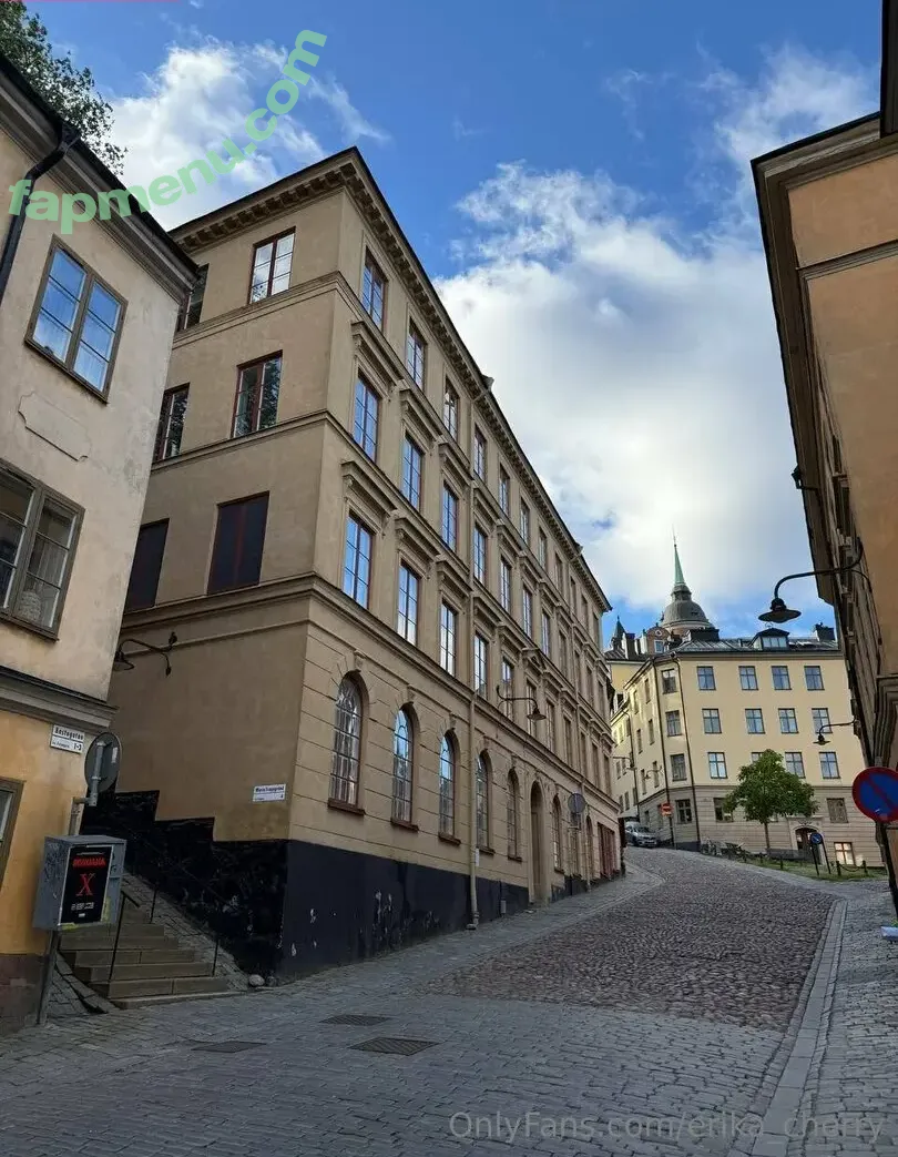 erika_cherry nude photo #0699 (erika_cherry_)