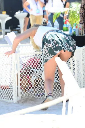 Erin Heatherton / ErinHeatherton / erinheathertonlegit nude photo #0138