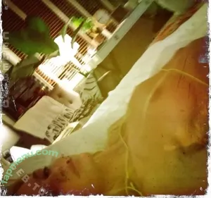 Erin Heatherton / ErinHeatherton / erinheathertonlegit nude photo #0374