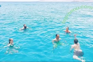 Erin Moriarty / erinelairmoriarty nude photo #0357