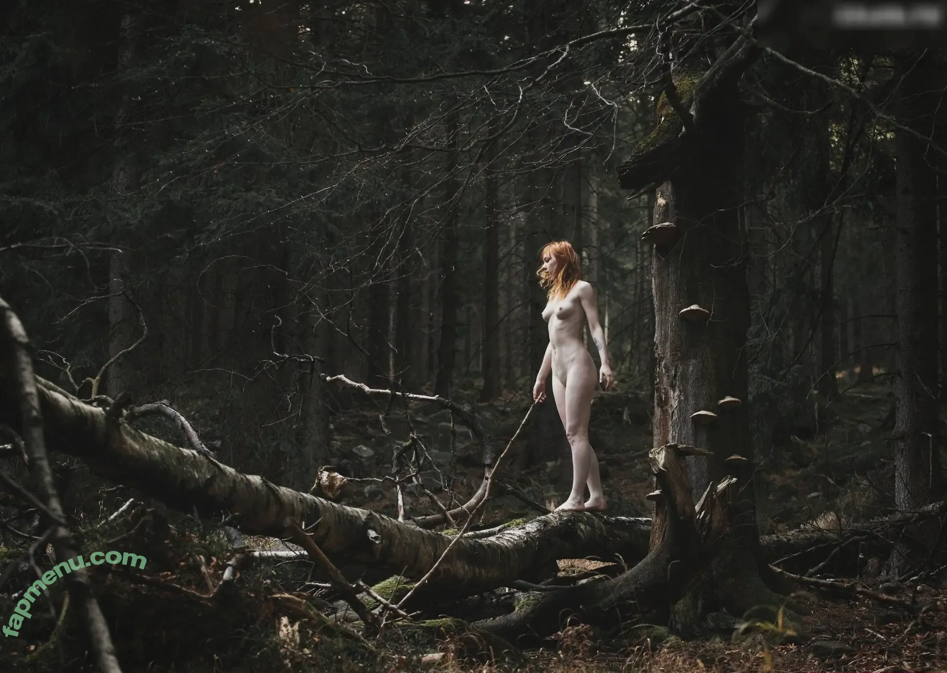 Erinthul nude photo #0009 (erinthul_ / erinthul__)