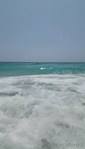 EroicaForest / PhoenixFloe / xEroicaForestx nude photo #0323