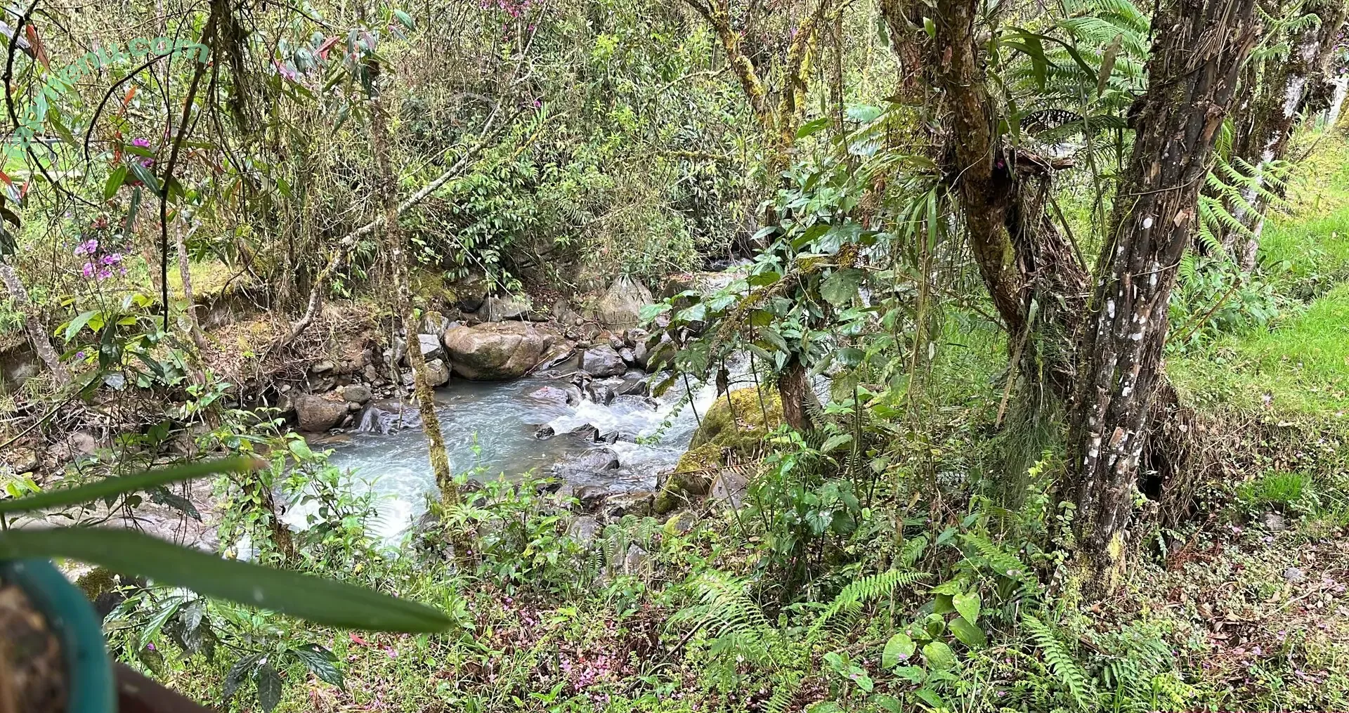 essence.emma nude photo #0042 (essenceeats)