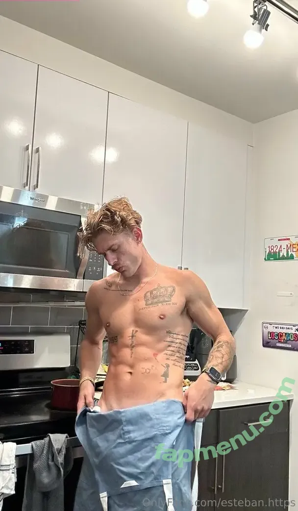 esteban.https nude photo #0015 (esteban.https)