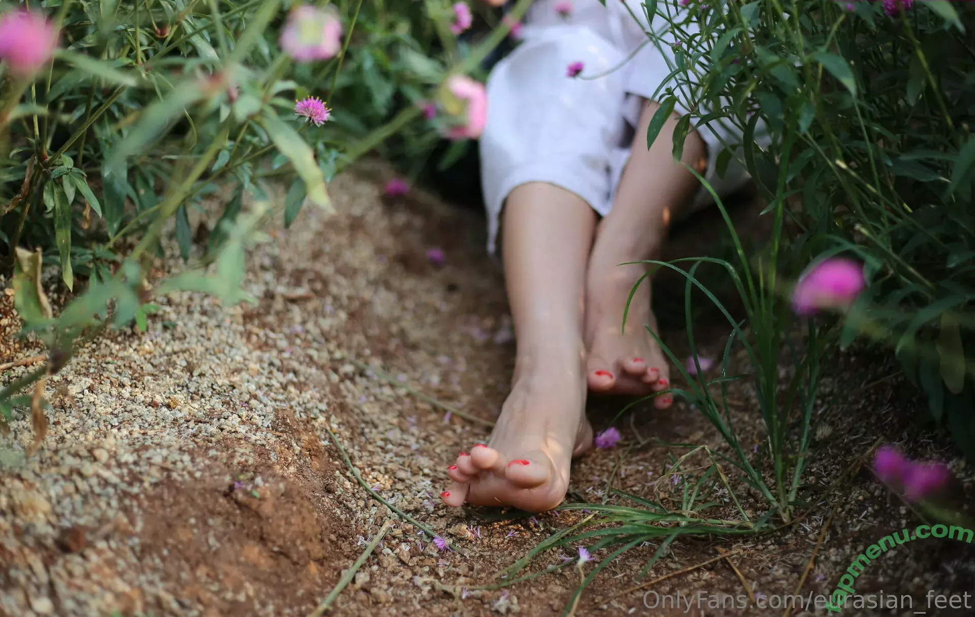 eurasian_feet nude photo #0389 (eurasian.feet)