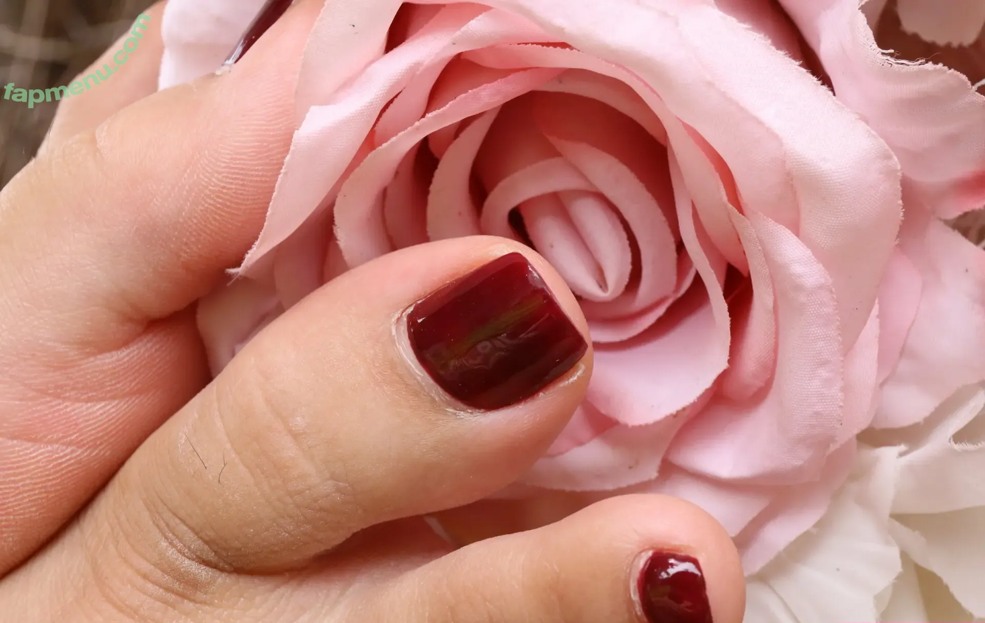 eurasian_feet nude photo #0552 (eurasian.feet)