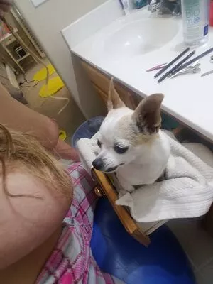 Eva Notty / EvaNotty / nottysquad nude photo #0084