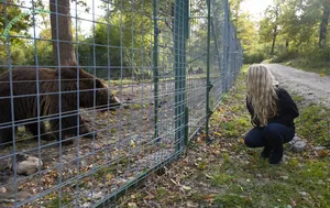 Evanna Lynch / evannalynch nude photo #0132