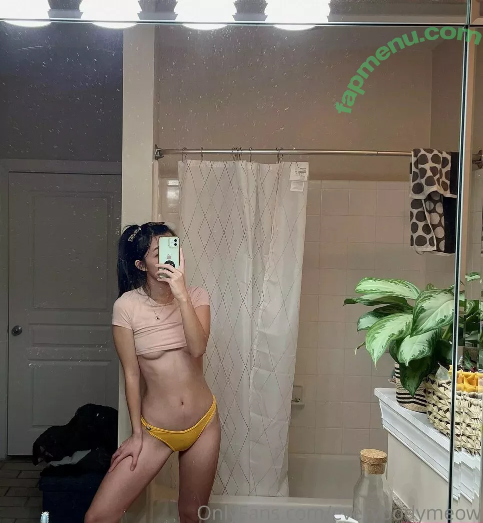 everybodymeow nude photo #0062 (lordbowserthecat)