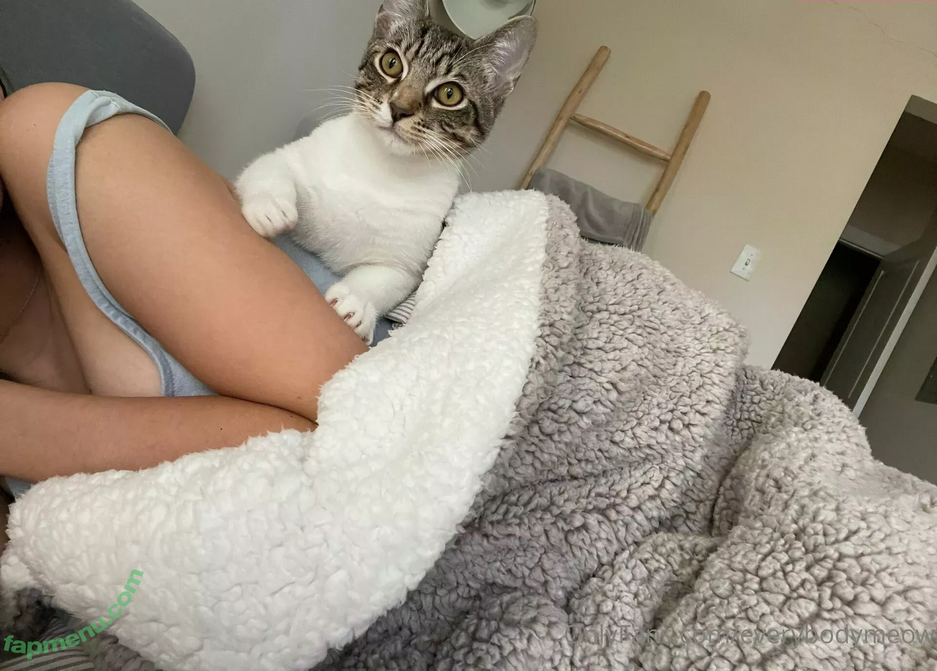 everybodymeow nude photo #0111 (lordbowserthecat)