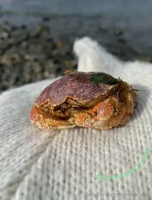 eviecutie / evie.cute nude photo #0070