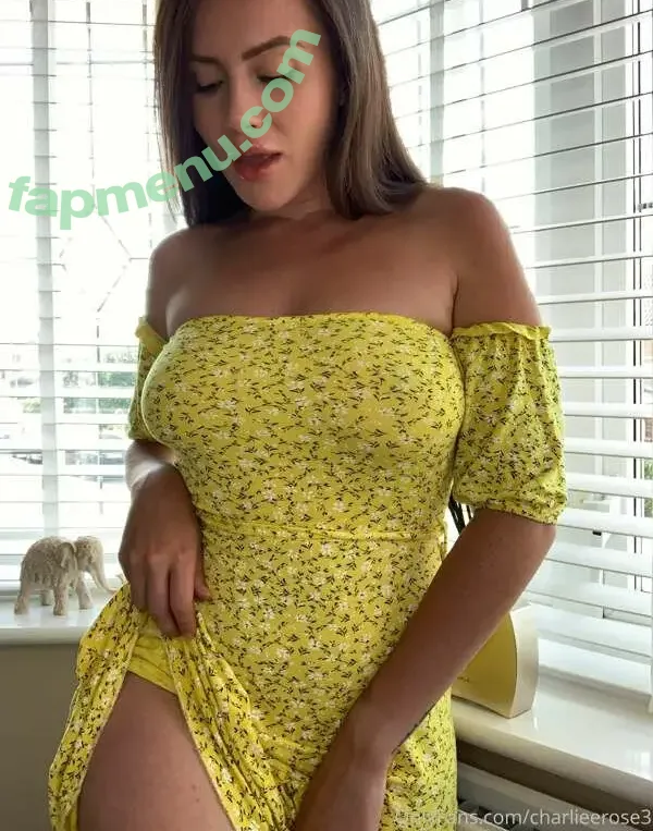 Ex British Cop nude photo #0056 (charlieerose3)