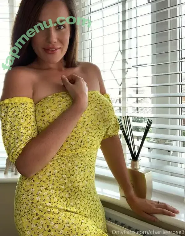 Ex British Cop nude photo #0057 (charlieerose3)