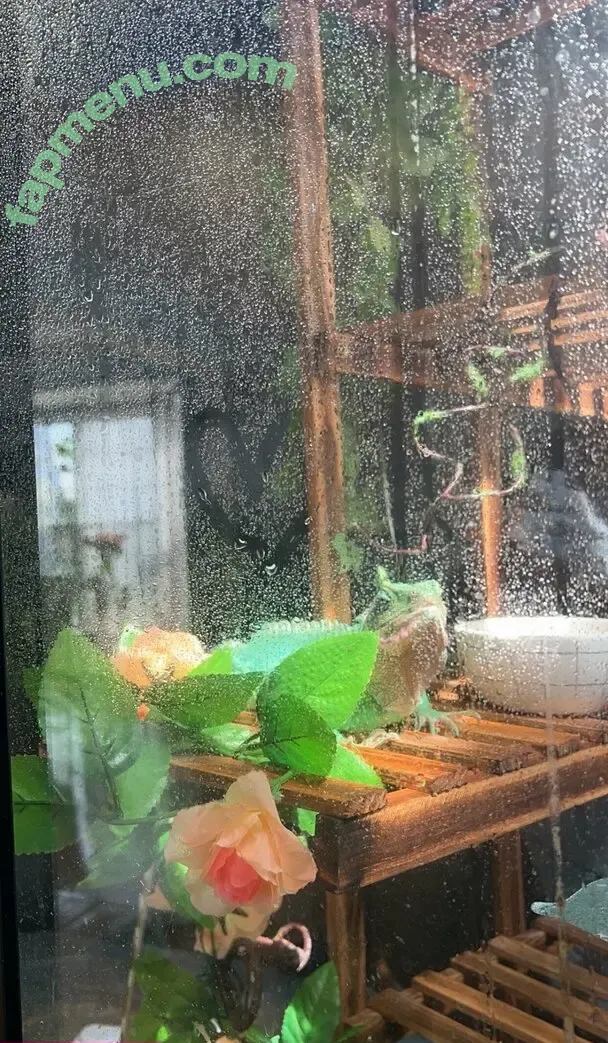 ExplicitKait nude photo #0290 (kaitlynnexplicit / queenkaitlynn)