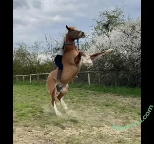 Faith Louisa Kelly Payne / faithlouisak nude photo #0111