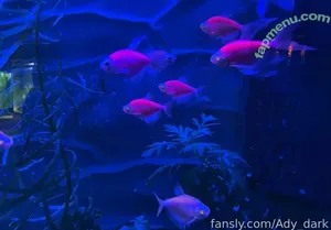 fallenemoangel / awwwurkitten / fallen.angel2007 / kaiko_riko / missingemo2007 nude photo #0074