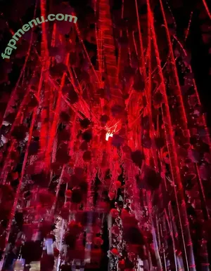 fallenemoangel / awwwurkitten / fallen.angel2007 / kaiko_riko / missingemo2007 nude photo #0076