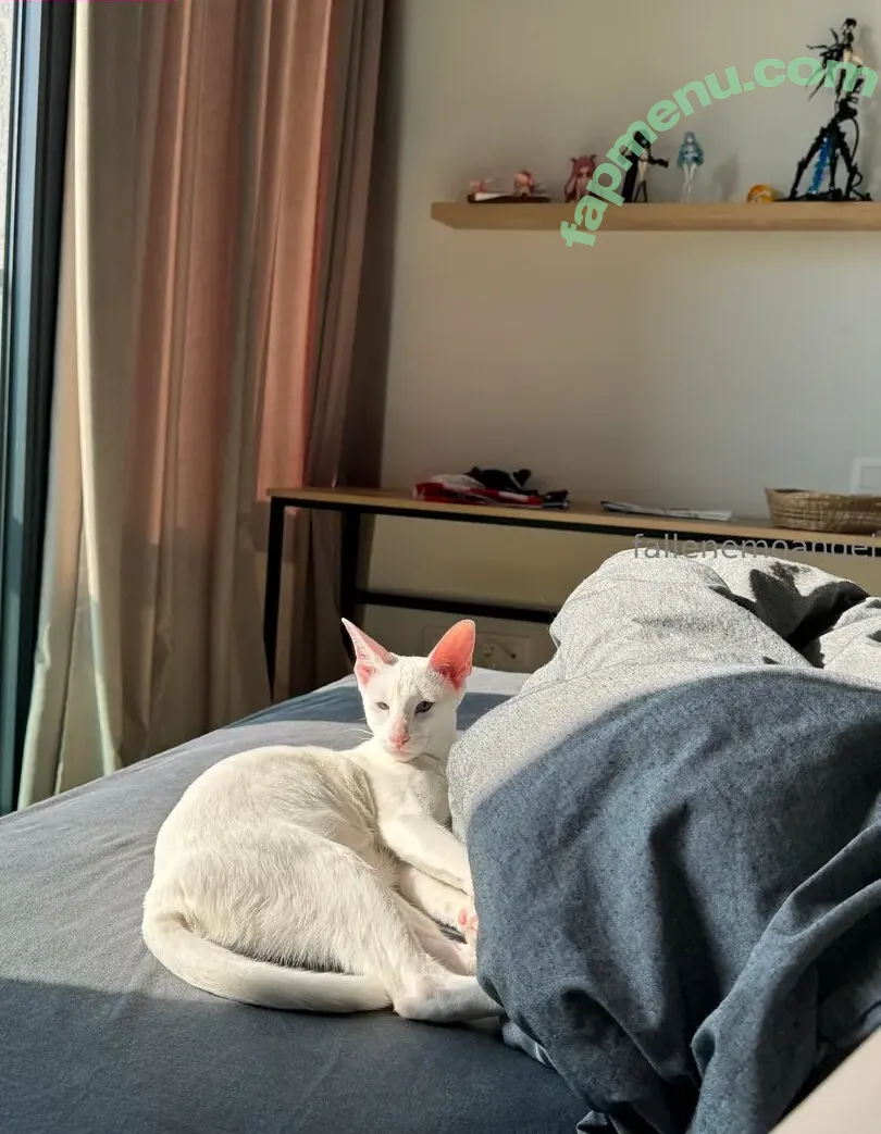 fallenemoangel nude photo #0390 (awwwurkitten / fallen.angel2007 / kaiko_riko / missingemo2007)