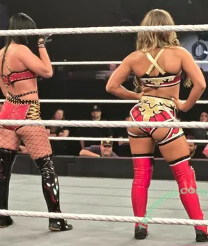 Fallon Henley / WWE / fallon_wwe nude photo #0030