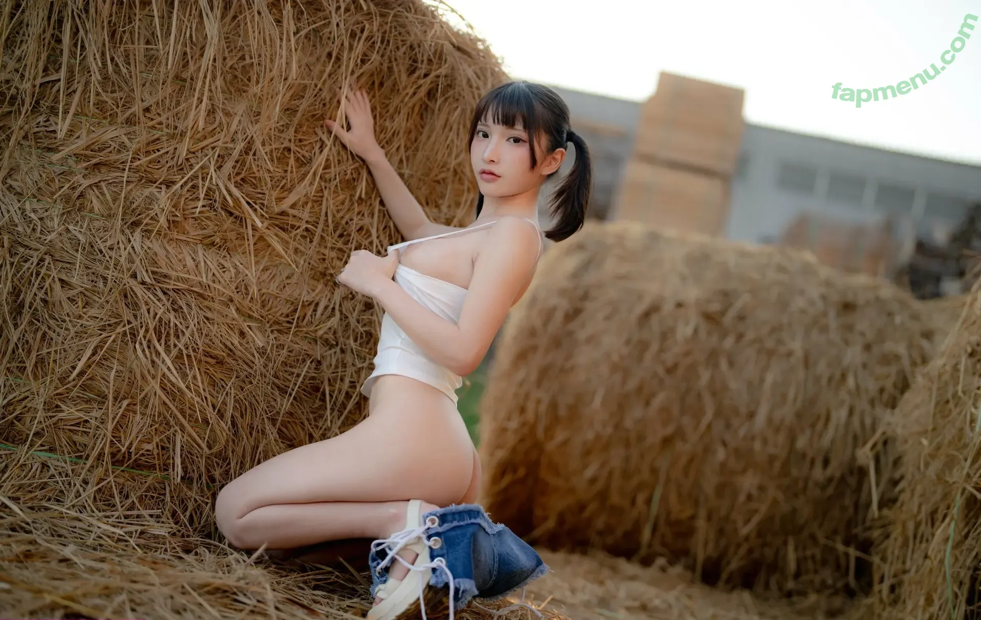 Fantasy Factory | komachi nude photo #0012 (fantasyfactoryas)