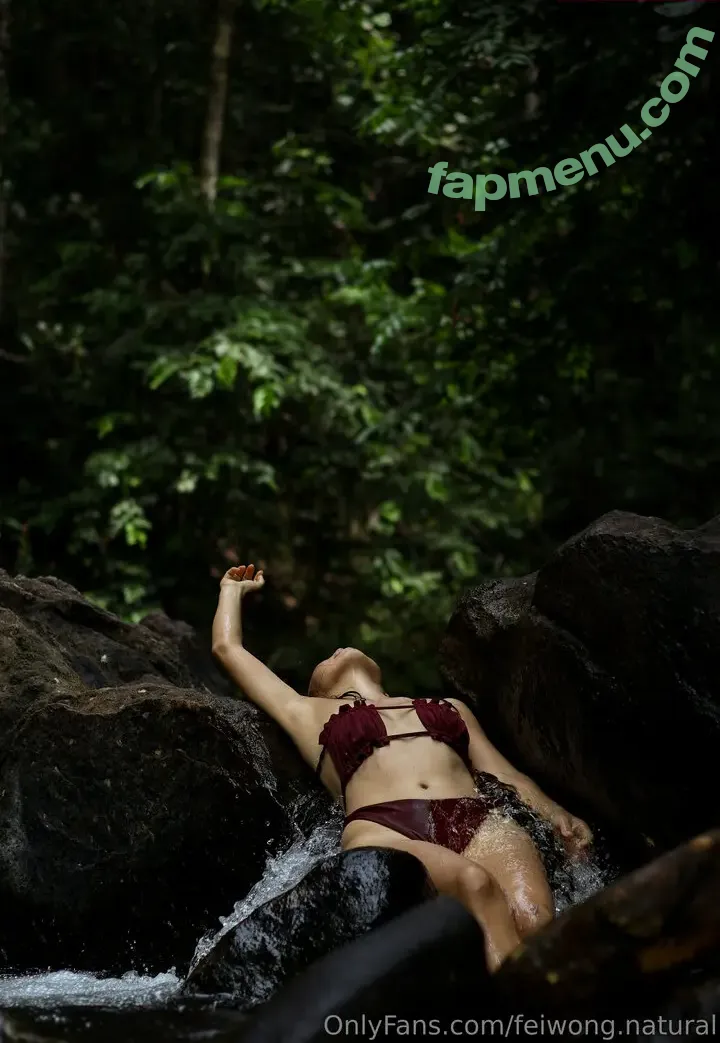 feiwong.natural nude photo #0007 (fei_wong_daily)