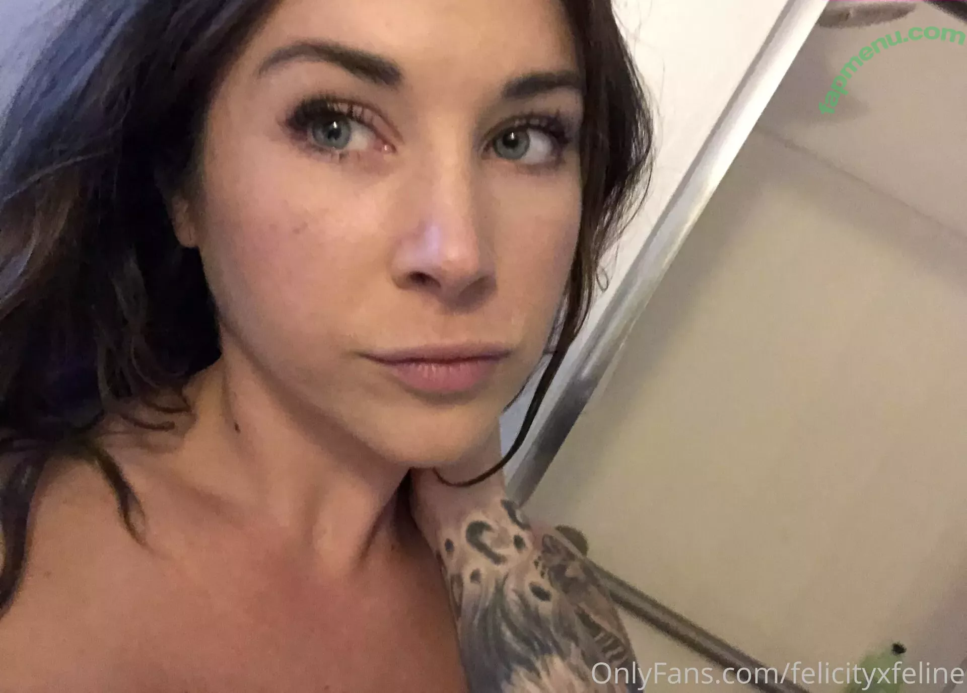 felicityfeline nude photo #0010 (felicityfelineofficial)