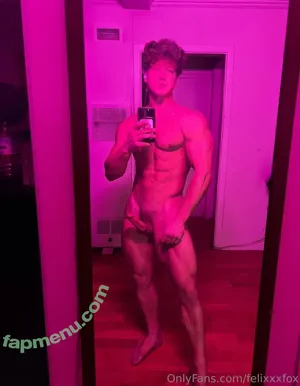 felixxxfox / myfelixfox nude photo #0002
